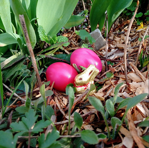 image from Frohe Ostern!